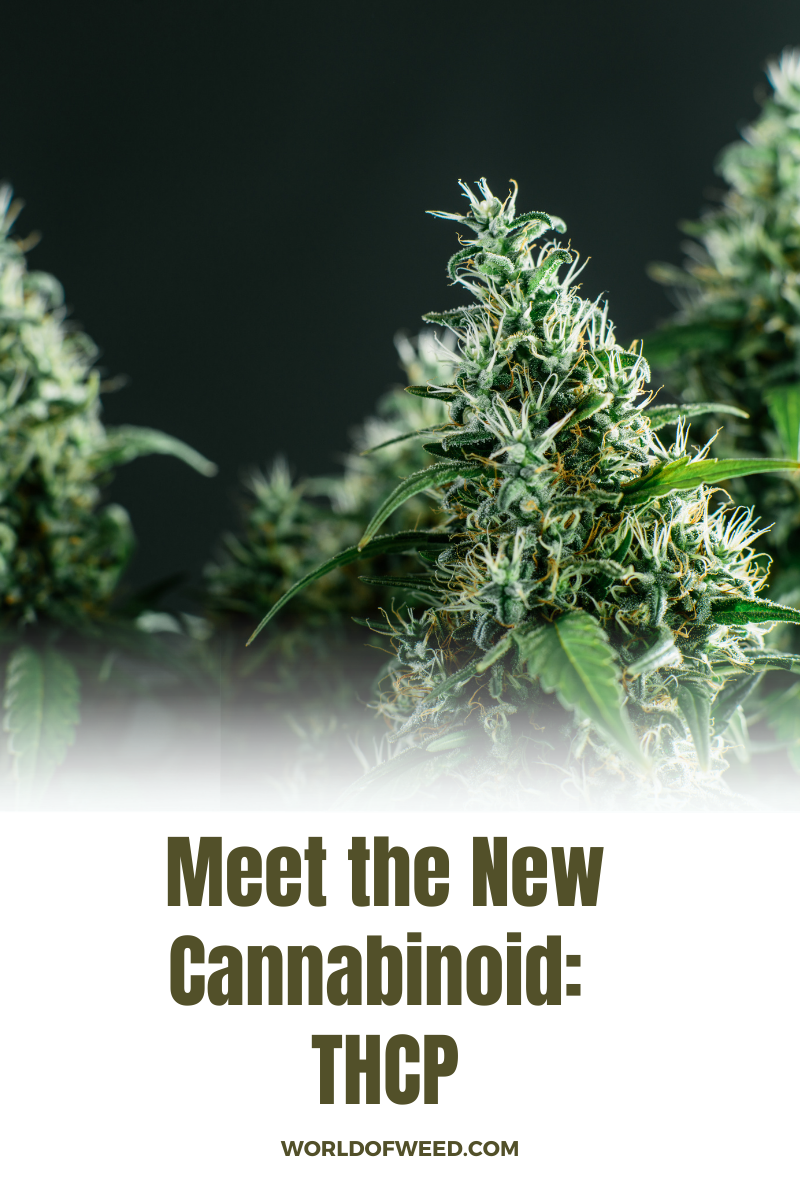 Meet the New Cannabinoid THCP